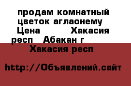 продам комнатный цветок аглаонему › Цена ­ 700 - Хакасия респ., Абакан г.  »    . Хакасия респ.